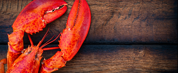 HYC Annual Lobster Boil